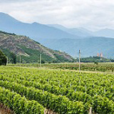 Georgian wine producers launch online information platform with the help of EU4Business