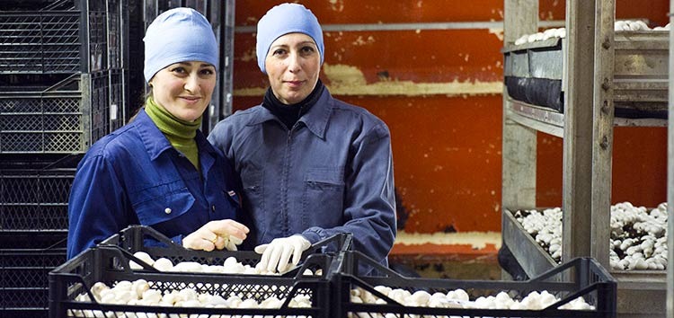 EBRD launches trade support programme in Georgia with EU4Business support