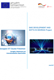 Georgian ICT Cluster Potential: Strengths, Weaknesses and Internationalization Opportunities