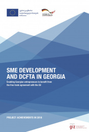 მცირე და საშუალო მეწარმეობის განვითარება და DCFTA საქართველოში: პროექტის 2018 წლის მიღწევები