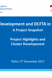 „მცირე და საშუალო მეწარმეობის განვითარება და DCFTA საქართველოში“ - მოკლე ინფორმაცია პროექტის შესახებ
