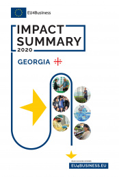 Citizens' Summary 2020: საქართველო