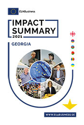 Citizens' Summary 2021: Georgia