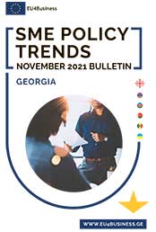 SME Policy Trends November 2021 Bulletin: Georgia