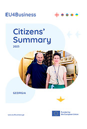 Citizens' Summary 2023: საქართველო