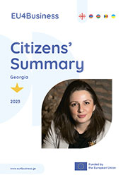 Citizens' Summary 2024: საქართველო