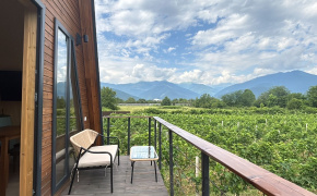 მამის დანატოვარი ოცნება, რომელიც ევროკავშირის დახმარებით ყვარლის ვენახებში გაცოცხლდა