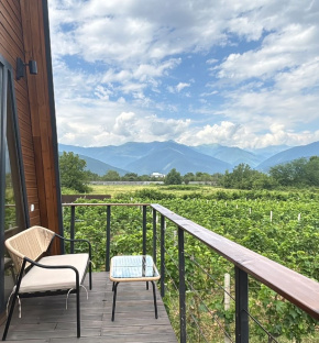 მამის დანატოვარი ოცნება, რომელიც ევროკავშირის დახმარებით ყვარლის ვენახებში გაცოცხლდა