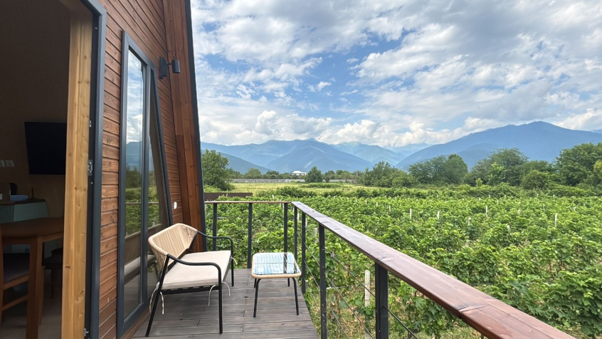 მამის დანატოვარი ოცნება, რომელიც ევროკავშირის დახმარებით ყვარლის ვენახებში გაცოცხლდა