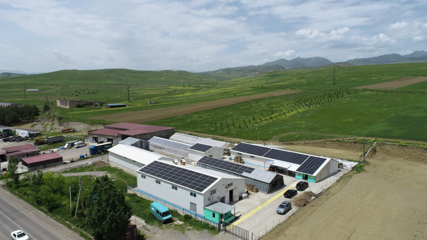 Georgia's Wild Harvest Goes Global With Help From the EU