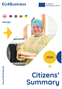 Citizens' Summary 2026: საქართველო