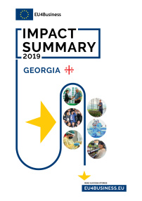 Citizens' Summary 2019: Georgia